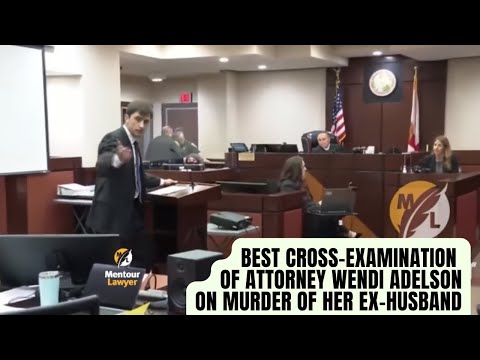 The Best Cross-Examination of Wendi Adelson (Christopher DeCoste)