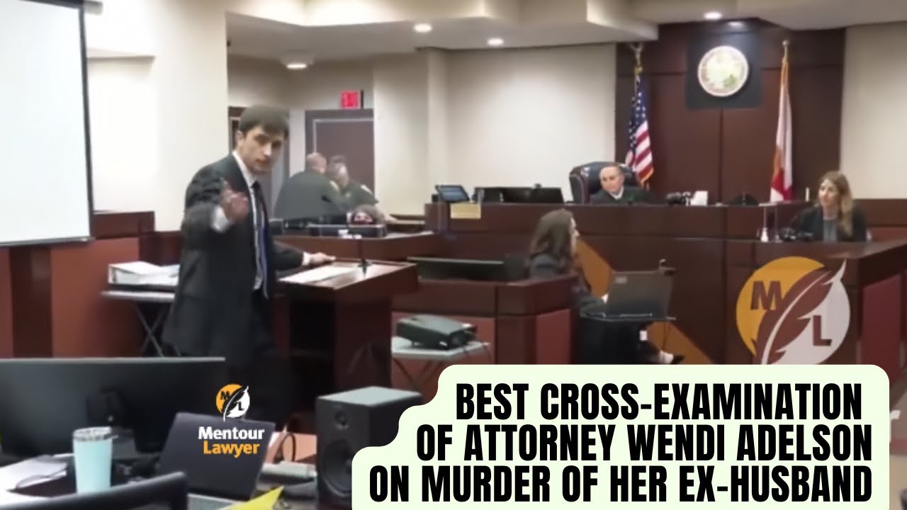 The Best Cross-Examination of Wendi Adelson (Christopher DeCoste)