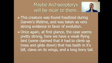 Origins, fossil record part 2, transitional forms