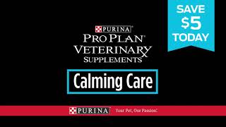 Dog Owners Love Calming Care Probiotic Supplement.