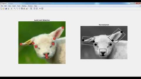 Facial Action Unit Detection matlab projects | Facial Action Unit Detection matlab thesis