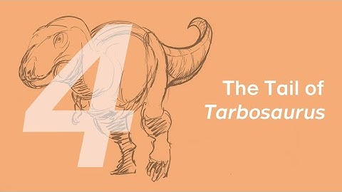 Chuanzi the Tarbosaurus 4: The Tail | Learn to Draw Dinosaurs with ZHAO Chuang