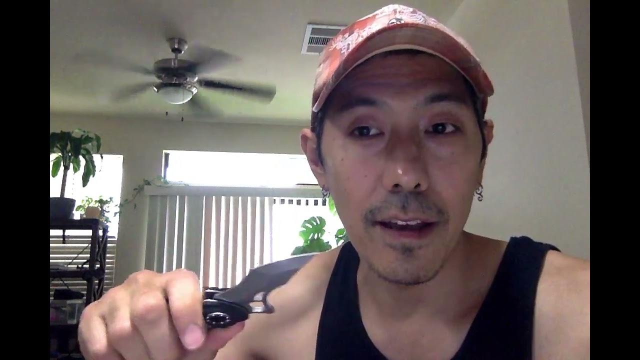 is defang the snake really the answer? 