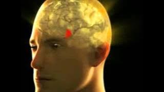 The Memory - A. W.  Pink (Christian audio devotionals)