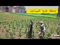 بعد قرار فتح المساجد