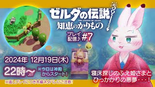 【ゼルダの伝説 知恵のかりもの】#7 ♪寝床探しのふえ姫さまと引っ掛かりの悪夢・・・！