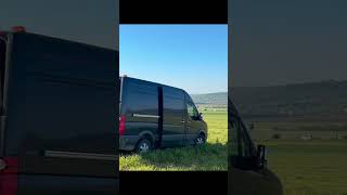 porumbei voiajori top ♥️🕊️            Antrenament 73km