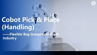AI-Powered Vision System for Flexible Bag Grasping in Food Industry | Pick & Place (Handling)