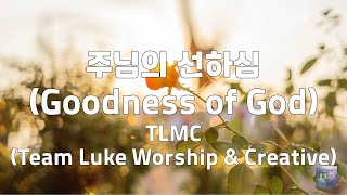 주님의 선하심(Goodness of God) | TLMC(Team Luke Worship & Creative) | 1시간 연속듣기