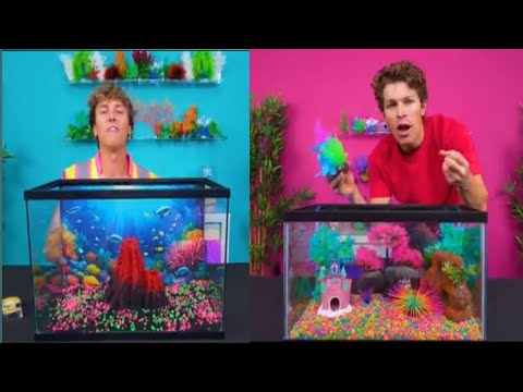 Build The Best Fish Tank Win 1 000 BEN And Cam