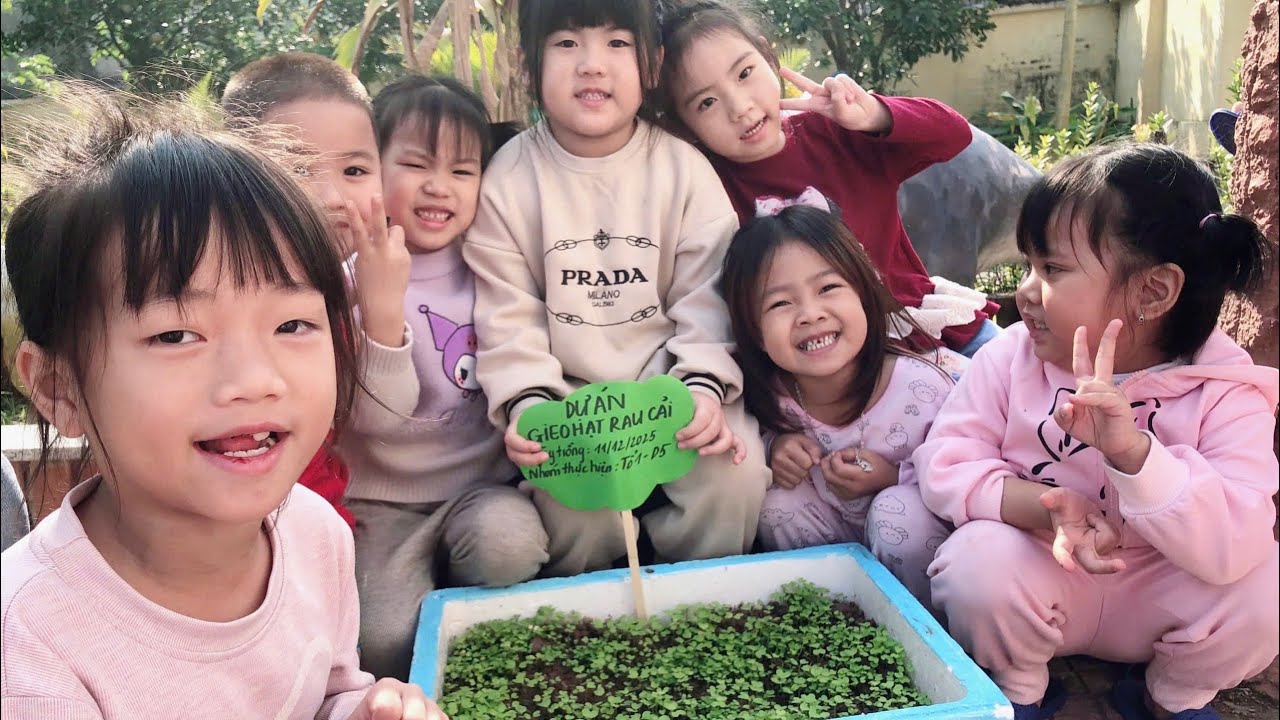 Dự án gieo hạt rau - Lớp D5 - Trường MN Lam Hạ - P Hà Nam