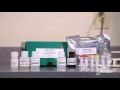 Running a Forensic RTU ELISA Kit