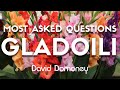 Discover The Most Searched Gladioli Questions With David Domoney!