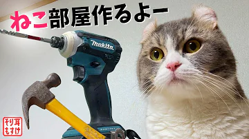 DIY素人が猫の部屋を作ったらクオリティが想像の斜め上ｗ 