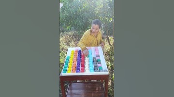 Precision Ball Sorting Techniques #13