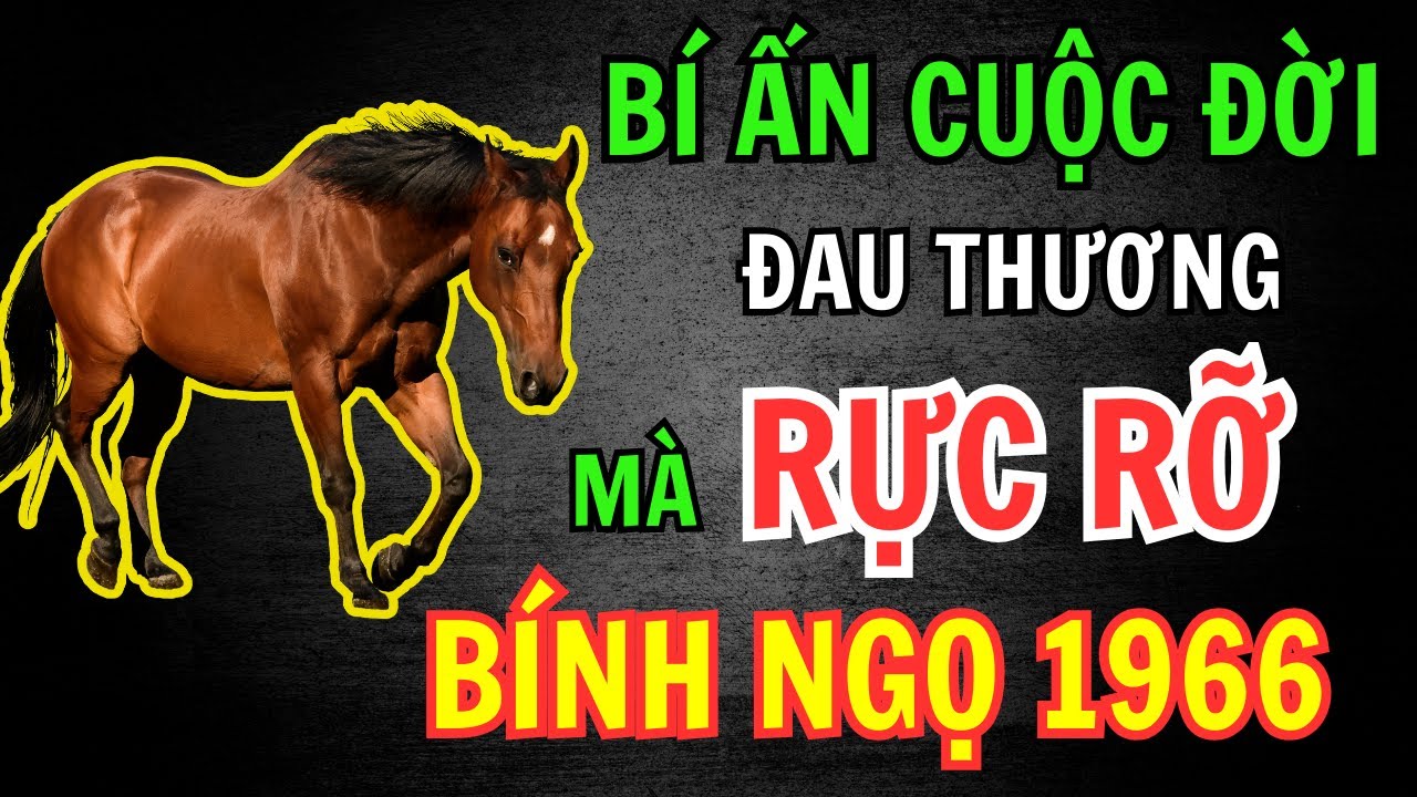 Bính Ngọ 1966 – Cuộc Đời Lặng Lẽ, Bí Mật Sau Những Giọt Nước Mắt