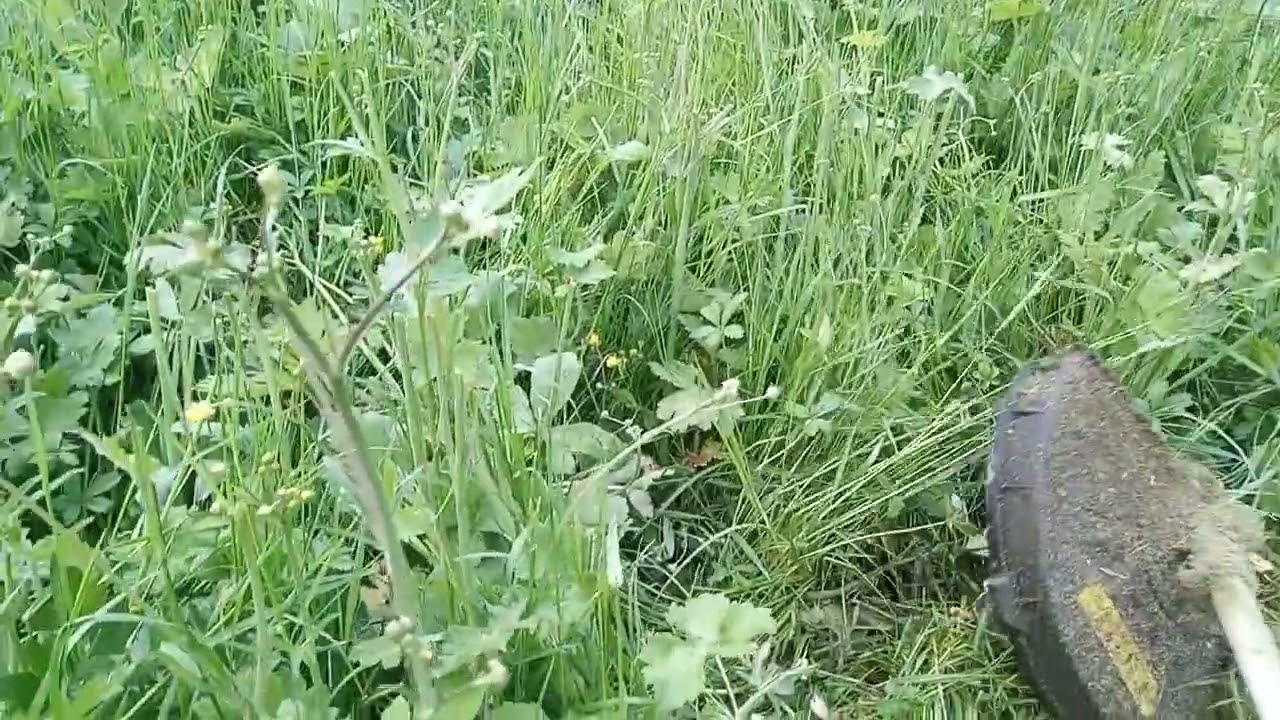 TEST dopo MODIFICA 2 DECESPUGLIATORE 40V (PPFSA 40 Li B3) PARKSIDE