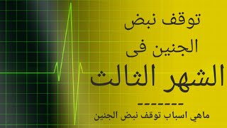 اسباب توقف نبض الجنين في الشهر الثالث | ما هو سبب توقف نبض الجنين في الشهر الثالث