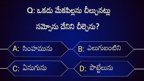 Test Your Bible Knowledge #79