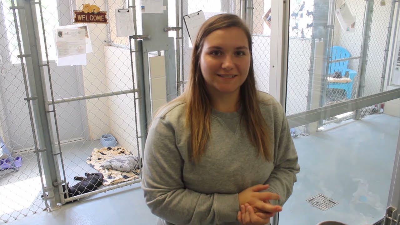 Member Minute Animal Rescue League of Marshalltown YouTube