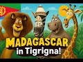 Madagascar Tigrigna Bambula Eritrea TigrignaAnimation Funnycartoon Africananimation 