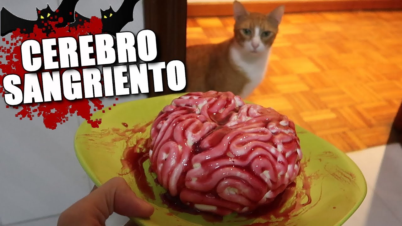 HAGO UN CEREBRO SANGRIENTO