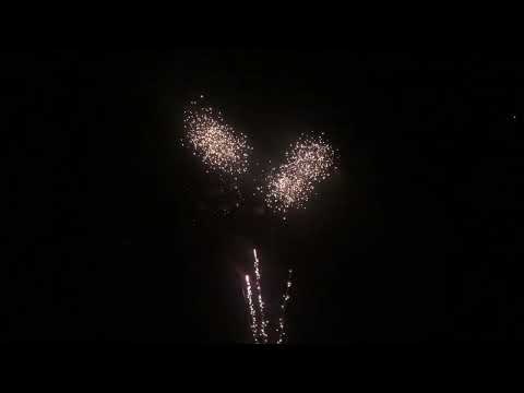 🃏54 Shot Jokers Wild🃏- FSF Fireworks