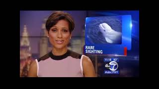 WABC NY EYEWITNESS NEWS-5/22/15-Bill Ritter, Sade Baderinwa