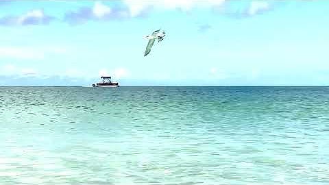 Video Introduction Project