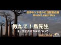 【ときわ動物園世界キツネザルの日特別企画】教えて！島先生 １