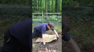 Tree Sentry - Weed Mat Installation