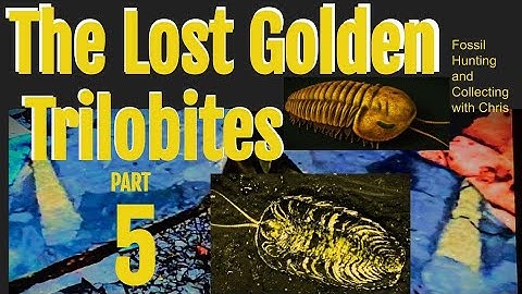 The Search for the Lost Golden Trilobites  Part 5  Fossil Hunting and Fossil Collecting with Chris