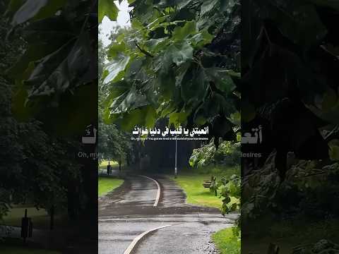 اتعبتني ياقلب في دنيا هواك