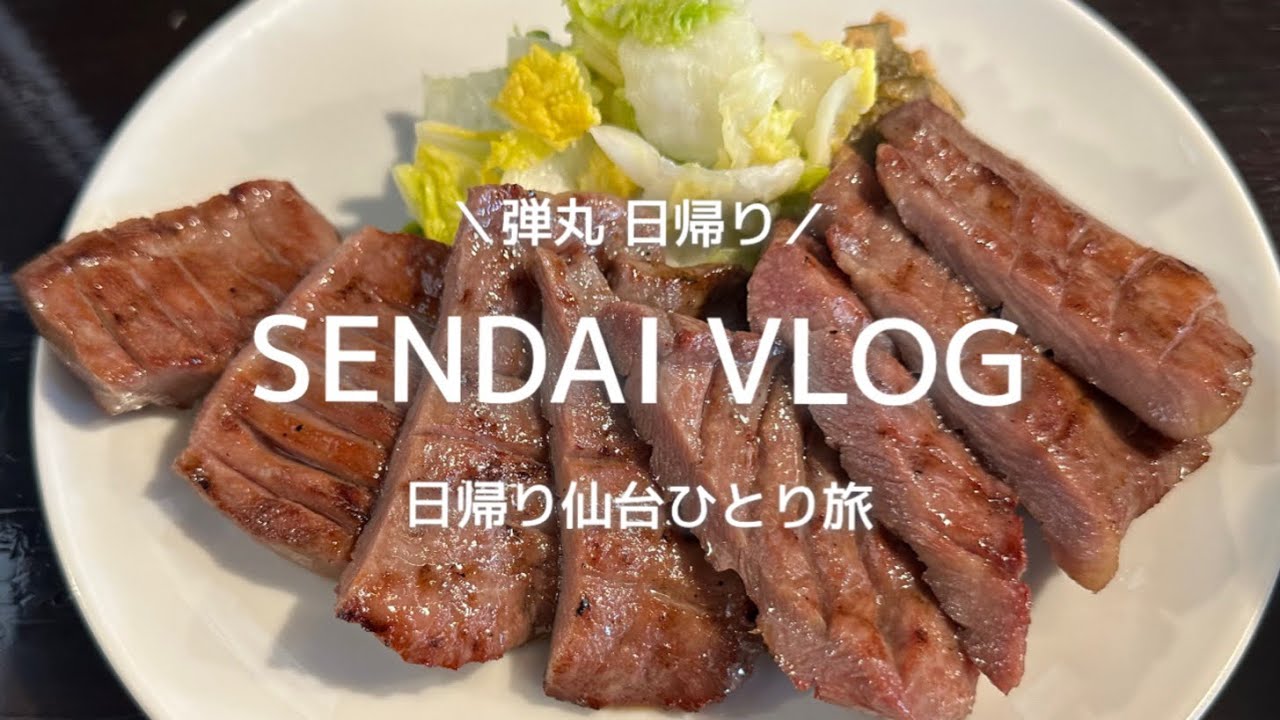 【vlog】日帰り仙台ひとり旅｜牛たんとずんだ餅が食べたくて仙台に行った人のひとり旅