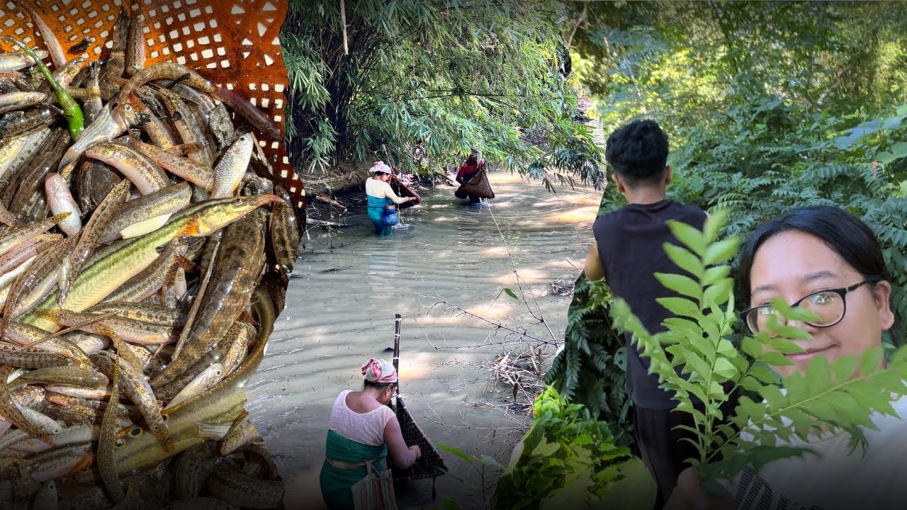 Aii mn a na gurdng 🌼|| Ai ne Omaya nwrsin jayw🐷🐷🐽