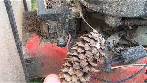 Will it start? - 1990s DR Trimmer/Mower