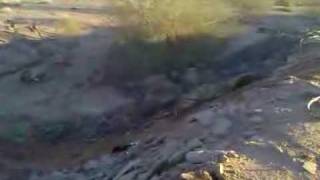VIDEO0007.3gp