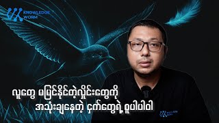 လူတွေမမြင်နိုင်တဲ့လှိုင်းတွေကို အသုံးချတဲ့ ငှက်တွေရဲ့ စူပါပါဝါ