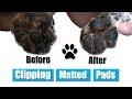 How To Clip Matted Dog Pads