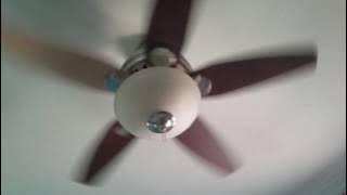 Ceiling Fans In My Friend's Old House (Edited)
