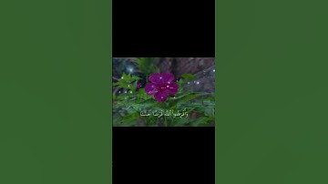 سورة_المزمل #شريف_مصطفى #اجر_لي_ولكم #قران_كريم #quran