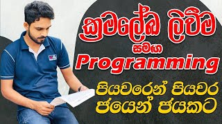 ගැටලු විසදීමට ක්‍රමලේඛ ලිවීම-11 ශ්‍රේණිය-programming-lesson 01 - paper discussion- O/L ICT - epapere