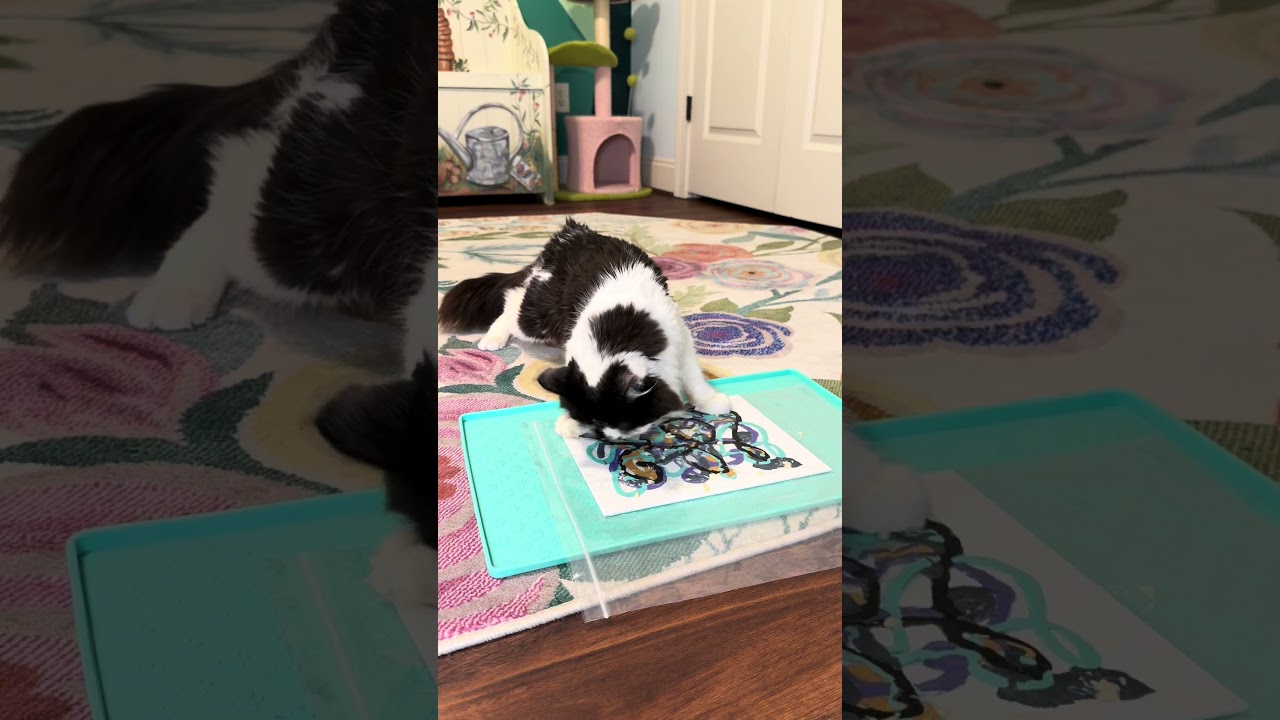 Рисование с Фиби: Холст Шарлин 🩵