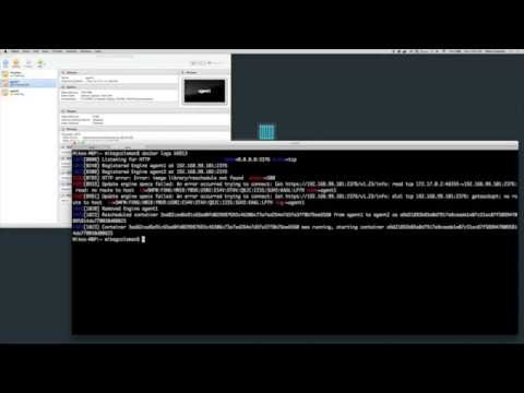 Docker Swarm: Container