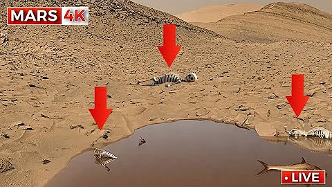 Perseverance Rover Footage | NASA Mars Rover Sent Incredible Footage of Mars SOL 1518 | Mars In 4K