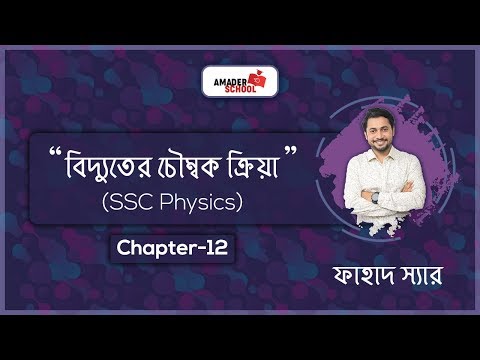 ভিডিও: বিশ্বব্যাপী সমস্যার স্থানীয় সমাধান