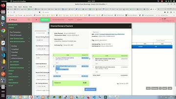 Multi Currency Posting - Effects on Bank Reconciliation and Financial Reports