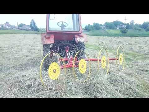 Гребка Сонечко. Ворушіння,