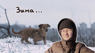 Новий Айфон, перший сніг і проблеми з собакою | Влог