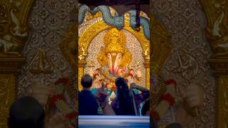 Bappa🌺🫶🏼❤️ #dagdushethganpatimandir #dagdushet #ashortaday #punecity #explorepage